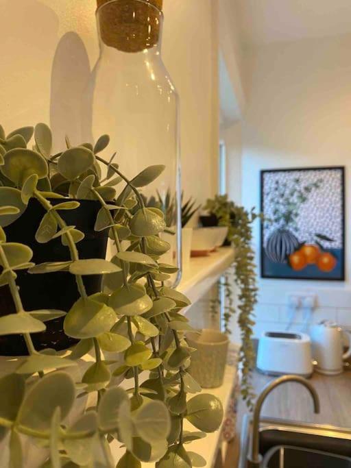 Garden Apartment, Central Harrogate With Parking Εξωτερικό φωτογραφία