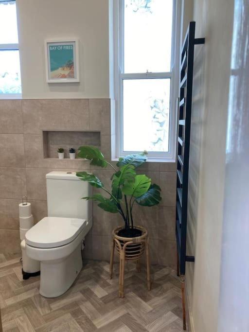 Garden Apartment, Central Harrogate With Parking Εξωτερικό φωτογραφία