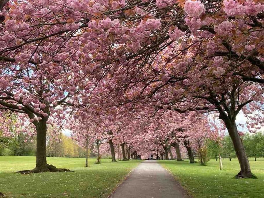 Garden Apartment, Central Harrogate With Parking Εξωτερικό φωτογραφία
